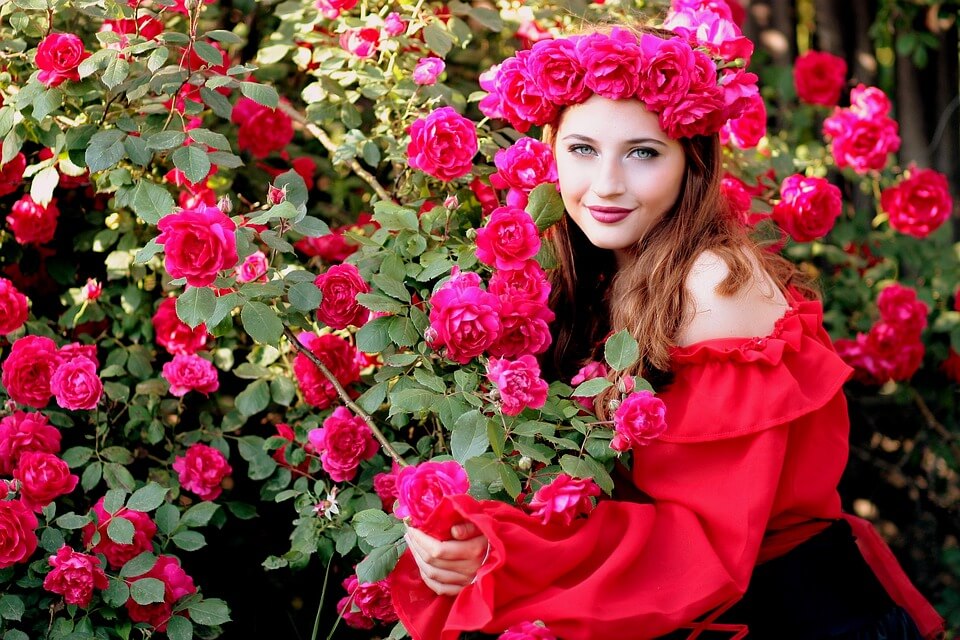 những vườn hoa hồng đẹp nhất thế giới